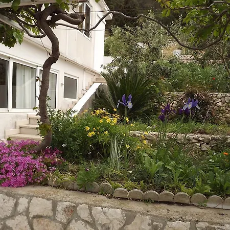 Vuljan Affittacamere Hvar Town