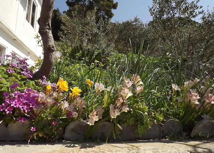 招待所 瓦里安宾馆 3*